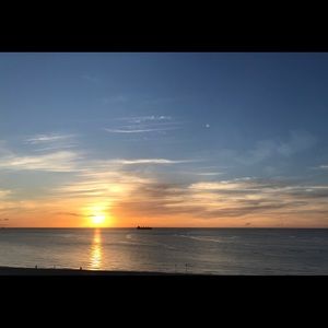 Meet your Posher, Bridget